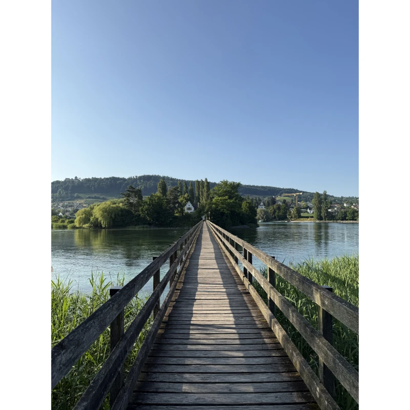 Desenli Cam Kaplama (Model -81)