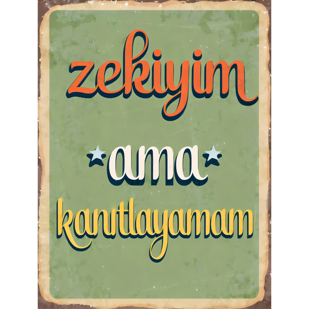 Statik Tutunma Özellikli Tablo - Poster Mizah (Model -1) 