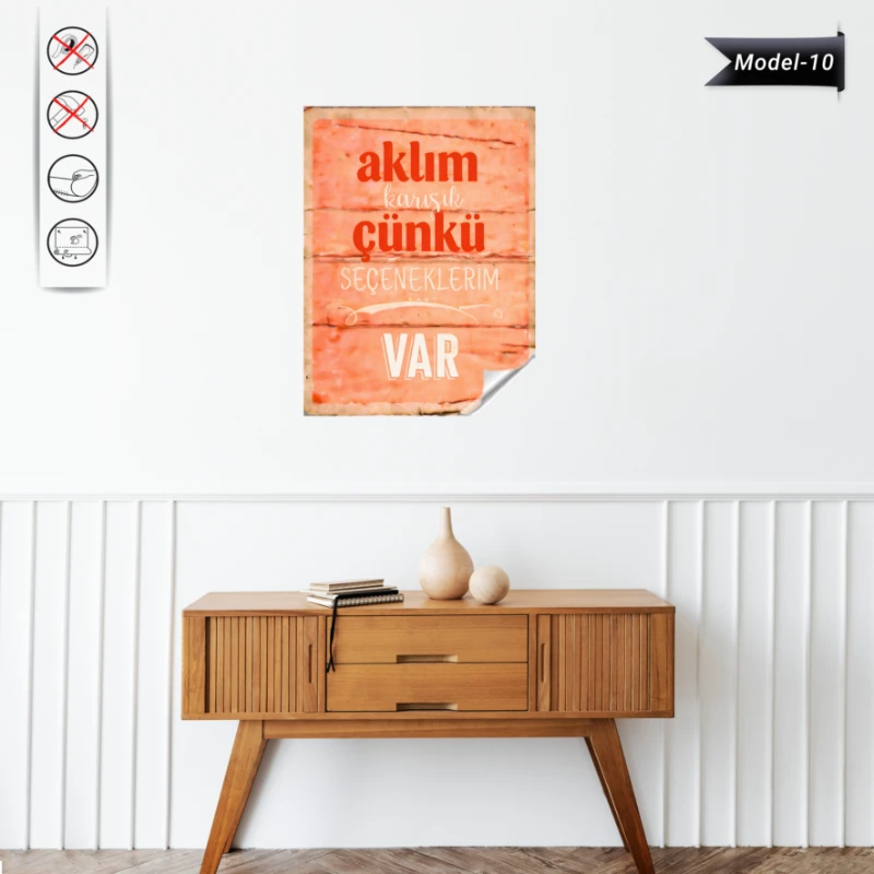 Statik Tutunma Özellikli Tablo - Poster Mizah (Model -10)
