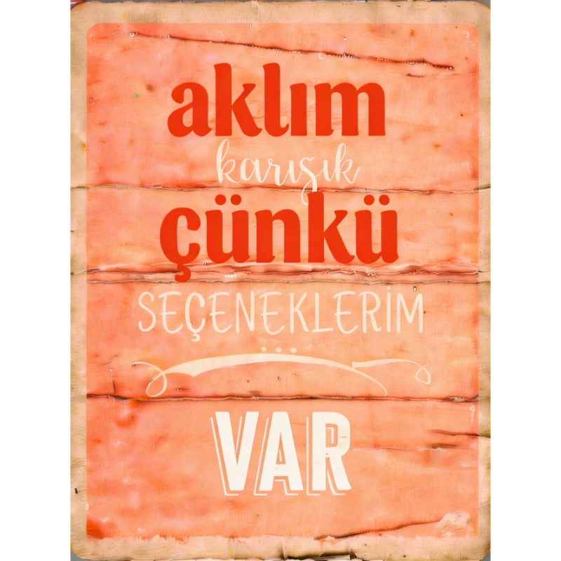 Statik Tutunma Özellikli Tablo - Poster Mizah (Model -10)