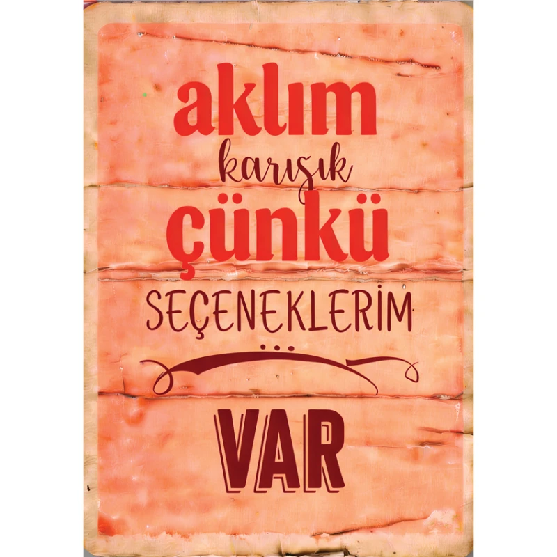 Statik Tutunma Özellikli Tablo - Poster Mizah (Model -10)