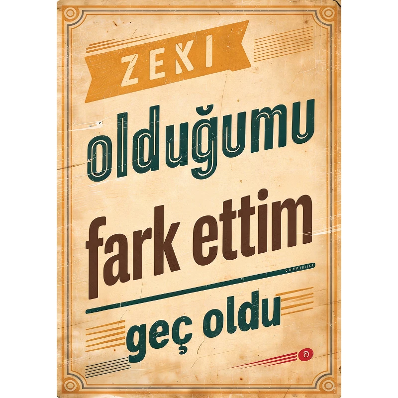 Statik Tutunma Özellikli Tablo - Poster Mizah (Model -24)