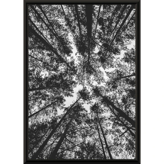 Statik Tutunma Özellikli Tablo - Poster Manzara (Model-98) 