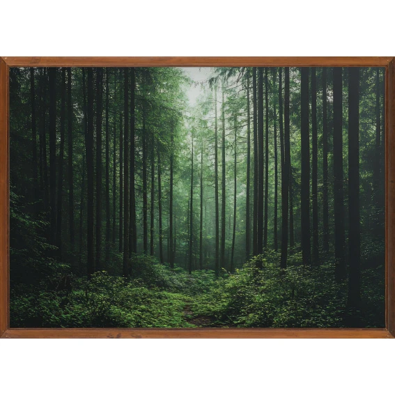 Statik Tutunma Özellikli Tablo - Poster Manzara (Model-99) 