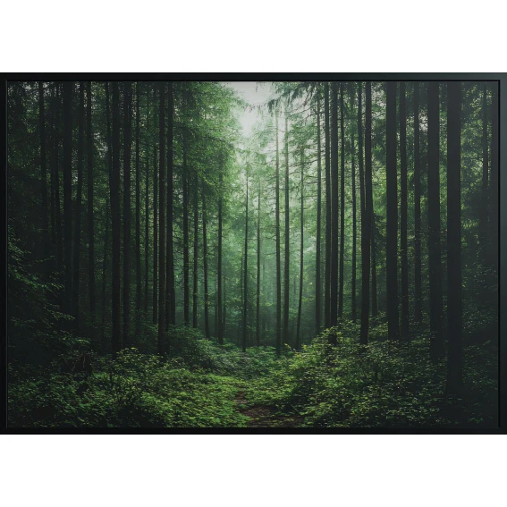 Statik Tutunma Özellikli Tablo - Poster Manzara (Model-99) 