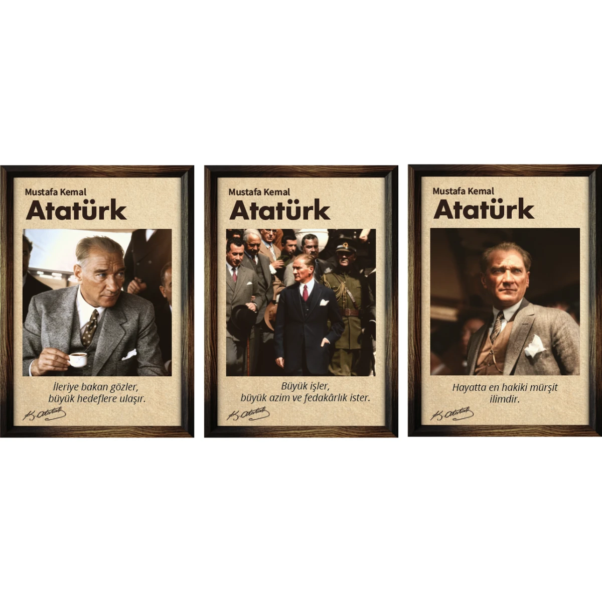 Statik Tutunma Özellikli Tablo - Poster Atatürk (Model- 30) 