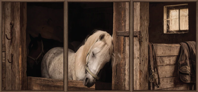 Statik Tutunma Özellikli Tablo - Poster Hayvan (Model- 25)